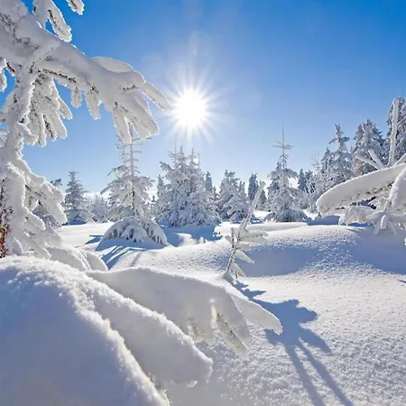 Snug In Near Area *
